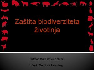 Zatita biodiverziteta ivotinja Profesor Marinkovi Sneana Uenik Mojsilovi