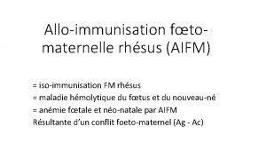 Alloimmunisation ftomaternelle rhsus AIFM isoimmunisation FM rhsus maladie