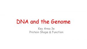 DNA and the Genome Key Area 3 e