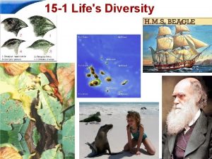 15 1 Lifes Diversity Slide 1 of 20