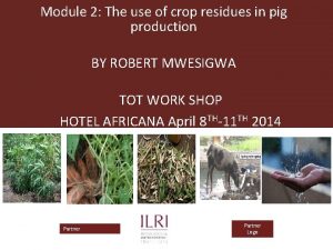 Module 2 The use of crop residues in