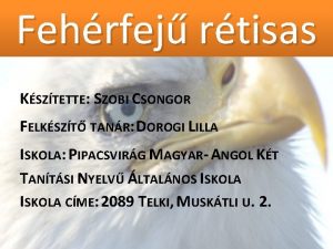 Fehrfej rtisas KSZTETTE SZOBI CSONGOR FELKSZT TANR DOROGI