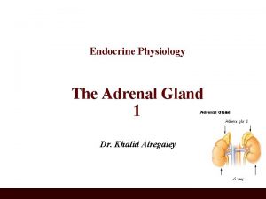 Endocrine Physiology The Adrenal Gland 1 Dr Khalid