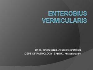 ENTEROBIUS VERMICULARIS Dr R Bindhusaran Associate professor DEPT