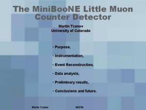The Mini Boo NE Little Muon Counter Detector