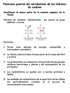 Panorama general del metabolismo de los hidratos de