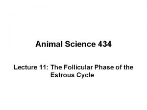 Animal Science 434 Lecture 11 The Follicular Phase