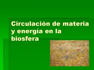 Circulacin de materia y energa en la biosfera