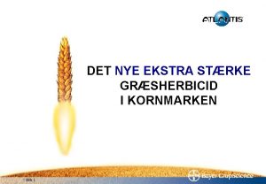 DET NYE EKSTRA STRKE GRSHERBICID I KORNMARKEN Slide