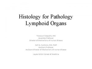 Histology for Pathology Lymphoid Organs Theresa Kristopaitis MD