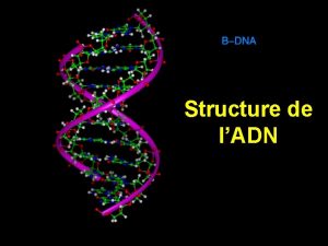 Structure de lADN 1 Structure molculaire de lADN