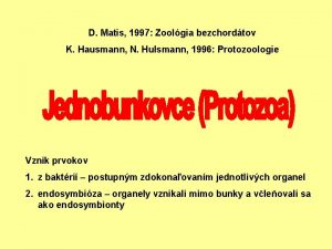 D Matis 1997 Zoolgia bezchordtov K Hausmann N