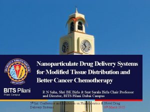 Nanoparticulate Drug Delivery Systems for Modified Tissue Distribution