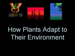 How Plants Adapt to Their Environment Problems Abundance