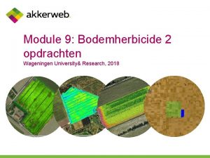 Module 9 Bodemherbicide 2 opdrachten Wageningen University Research