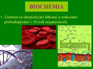 BIOCHMIA Zaober sa chemickmi ltkami a reakciami prebiehajcimi