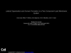 Lateral Organization and Domain Formation in a TwoComponent