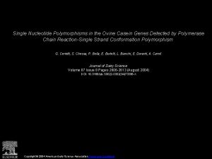 Single Nucleotide Polymorphisms in the Ovine Casein Genes