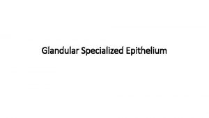 Glandular Specialized Epithelium Glandular Specialized Epithelium Specialized Epithelial