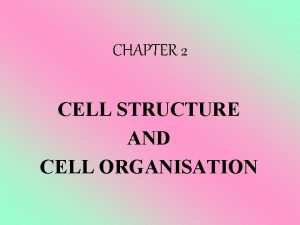 CHAPTER 2 CELL STRUCTURE AND CELL ORGANISATION Diagram