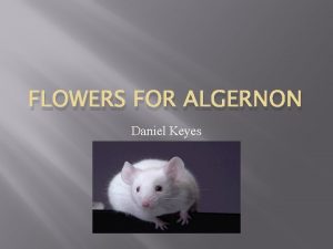 FLOWERS FOR ALGERNON Daniel Keyes 1 Define theme