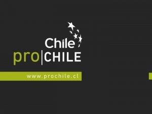 Chile Un pas diverso Sorprende por su geografa