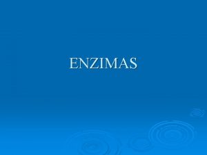 ENZIMAS 1 CONCEPTO DE ENZIMA Los enzimas son