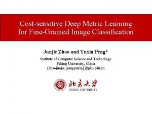 Costsensitive Deep Metric Learning for FineGrained Image Classification