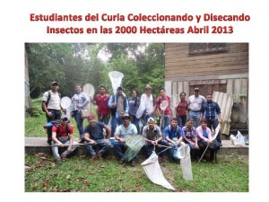 Estudiantes del Curla Coleccionando y Disecando Insectos en