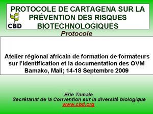 PROTOCOLE DE CARTAGENA SUR LA PRVENTION DES RISQUES