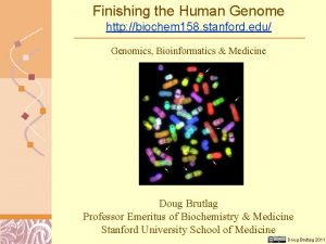Finishing the Human Genome http biochem 158 stanford