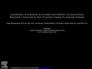 Quantification of Intracellular Accumulation and Retention of Lysosomotropic