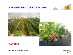 JORNADA FRUTOS ROJOS 2019 PARTE II MOGUER 10