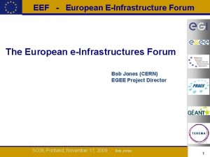 EEF European EInfrastructure Forum The European eInfrastructures Forum