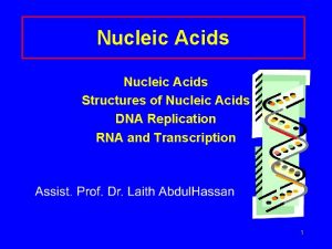 Nucleic Acids Structures of Nucleic Acids DNA Replication