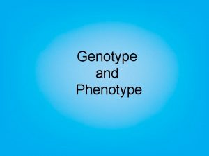 Genotype and Phenotype Allele from male parent Gene