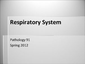 Respiratory System Pathology 91 Spring 2012 Respiratory System