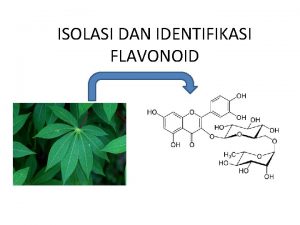 ISOLASI DAN IDENTIFIKASI FLAVONOID ISOLASI DAN ELUSIDASI STRUKTUR