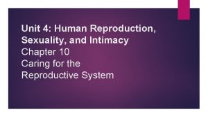 Unit 4 Human Reproduction Sexuality and Intimacy Chapter