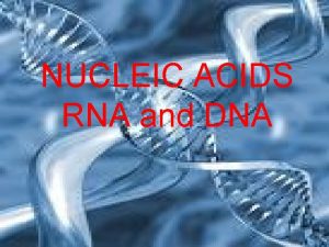 NUCLEIC ACIDS RNA and DNA Nucleic Acids v