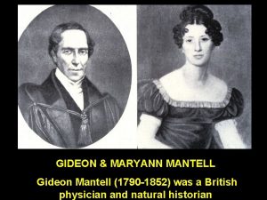 GIDEON MARYANN MANTELL Gideon Mantell 1790 1852 was