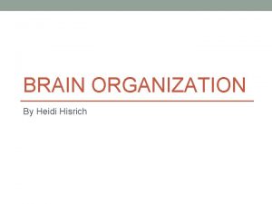 BRAIN ORGANIZATION By Heidi Hisrich Our Amazing Brain
