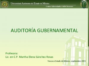 AUDITORA GUBERNAMENTAL Profesora Lic en C P Martha