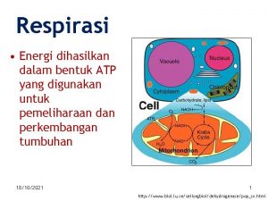 Faktor yang mempengaruhi fotorespirasi