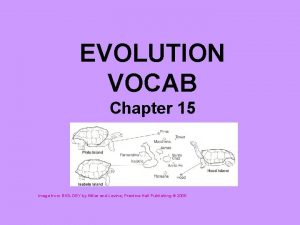 EVOLUTION VOCAB Chapter 15 Image from BIOLOGY by