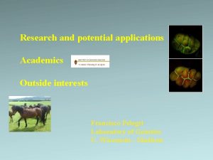 Research and potential applications Academics Outside interests Francisco