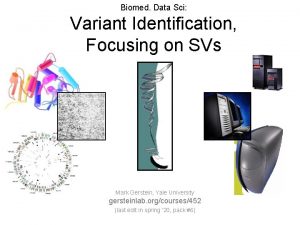 Biomed Data Sci Variant Identification Focusing on SVs
