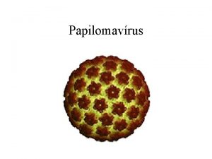 Papilomavrus O vrus Classificao Famlia Papilomaviridae anteriormente Papovaviridae