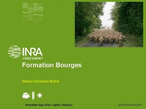 Formation Bourges MarieChristine Batut Formation Sicpa OvinsCaprins Bourges