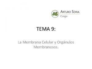 TEMA 9 La Membrana Celular y Orgnulos Membranosos